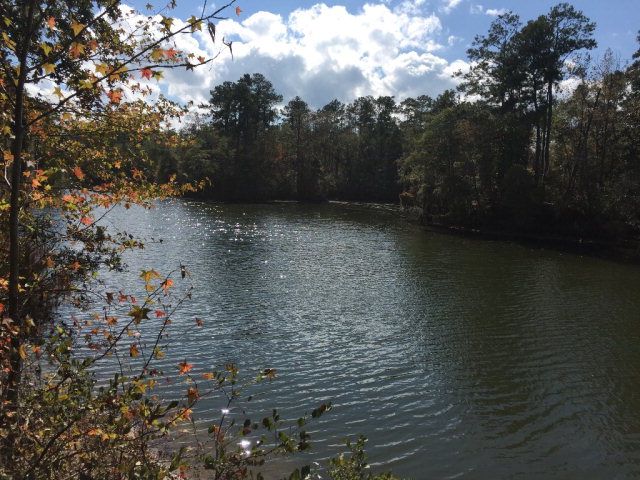 431 Us Hwy 431, Eufaula, AL 36027